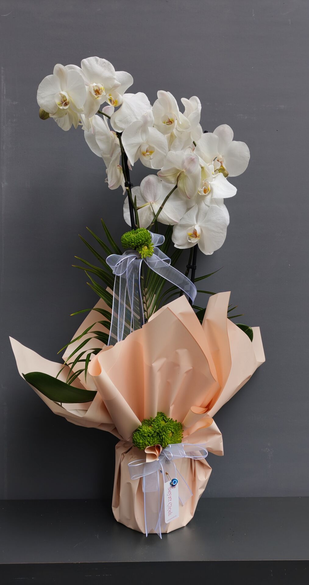 Çiftli Beyaz Orkide