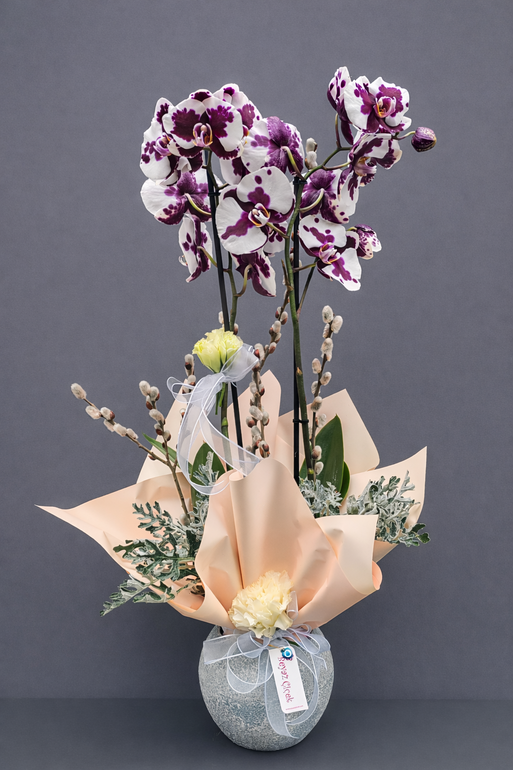 Çiftli Dalmaçyalı Orkide